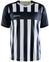 PROGRESS 2.0 STRIPE JERSEY