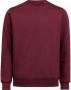 CREWNECK REGULAR FIT (OCS-RCS)