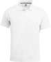 KELOWNA POLO