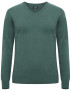OAKVILLE V-NECK LADIES