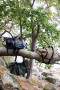 VIDE WEEKEND BAG, BLACK