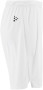 EVOLVE 2.0 SHORTS