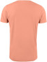 MANZANITA ROUNDNECK