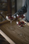 SAGA GLASS CHAMPAGNE CUP, 2-PACK, 27CL
