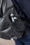 TURE WATER BOTTLE, BLACK