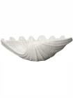 BOWL SHELL L, WHITE