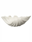 MISKA SHELL S, BIAŁA
