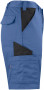 2528 SHORTS